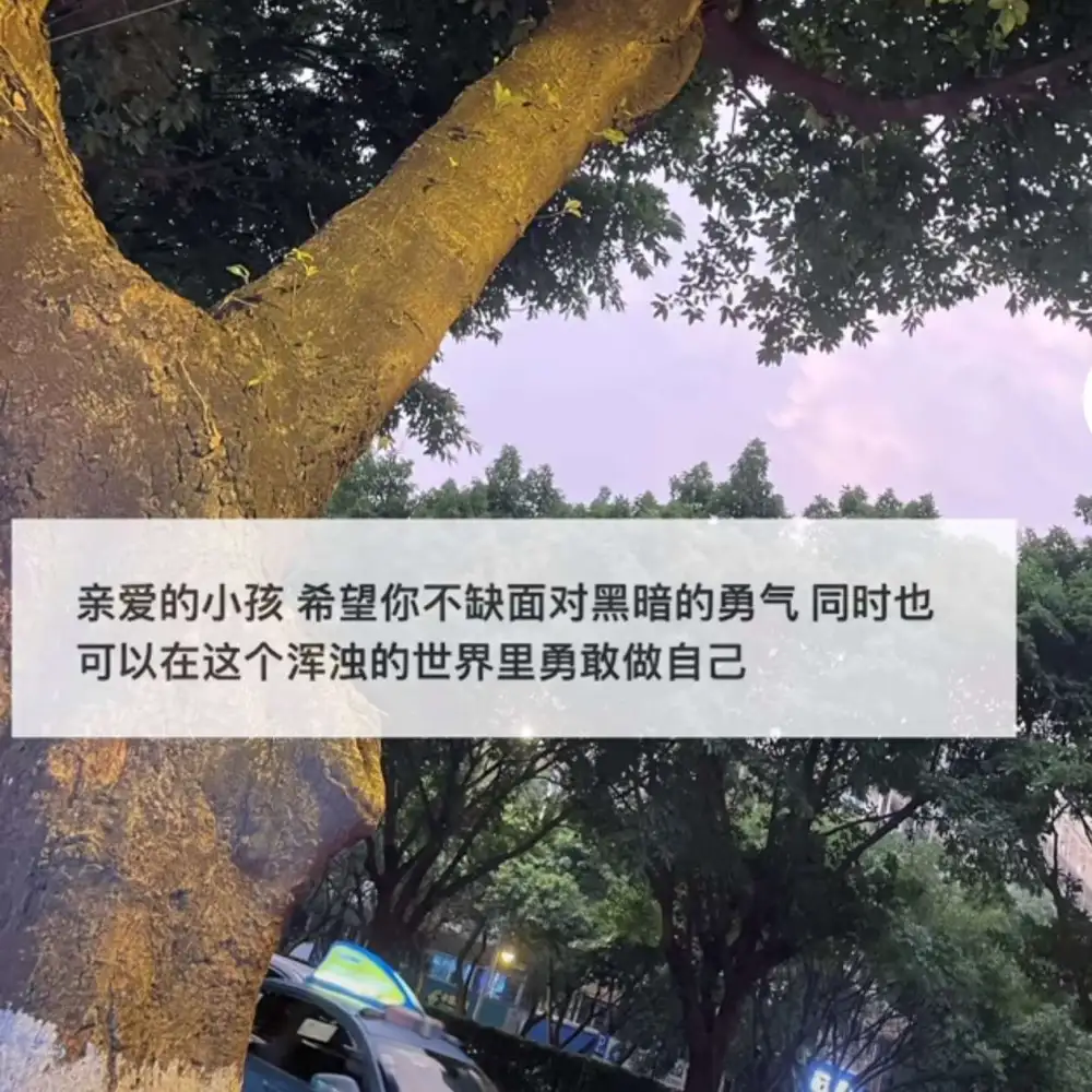 我的专辑