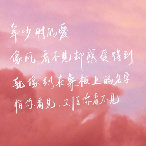 陈哈哈的小金库