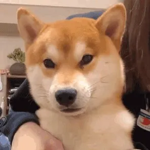 搞笑的
