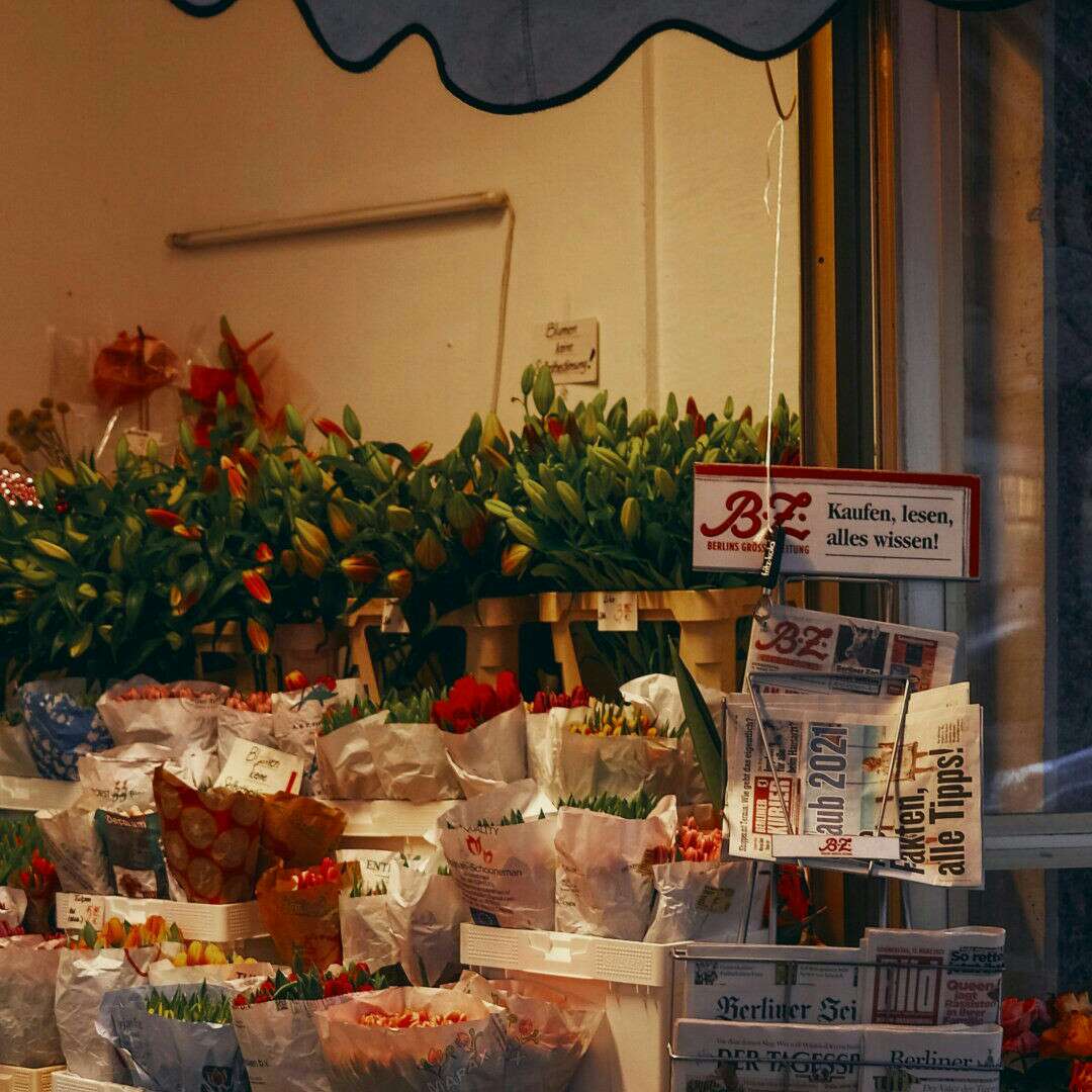 小盅温暖金黄的松茸鸡汤