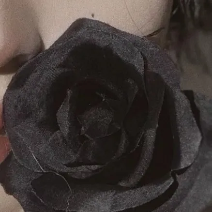 玫瑰再美，终会枯萎