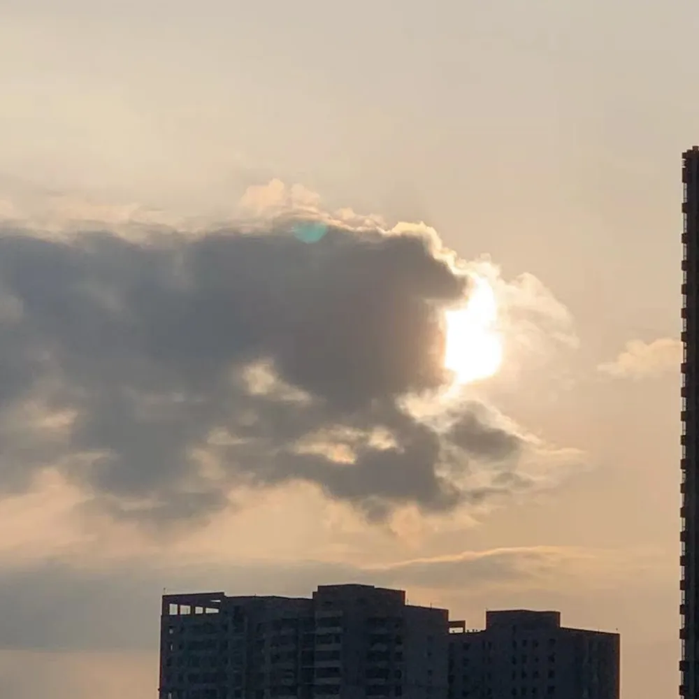 沈怡的专辑