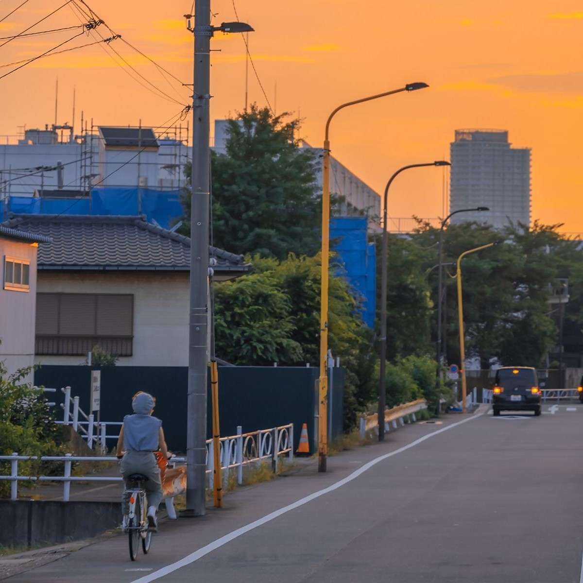 我们曾经追过的人