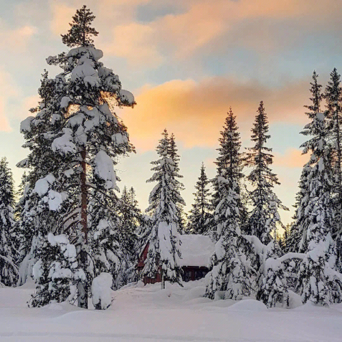 【Kindle】20句超经典广告语