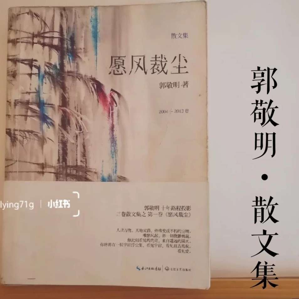 《愿风裁尘》