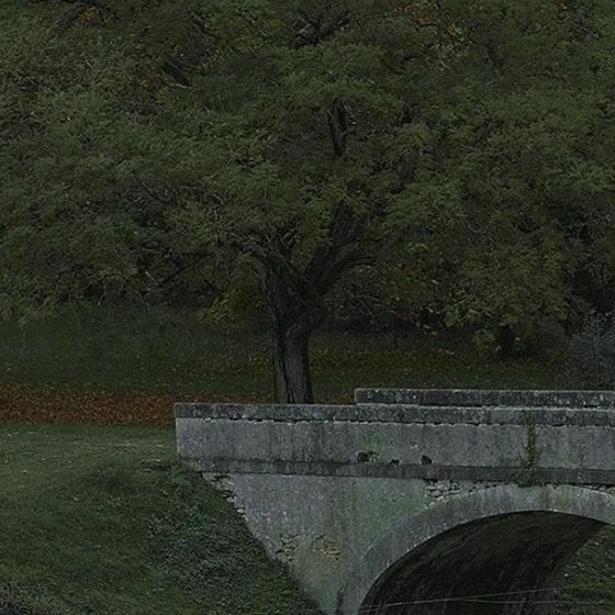 有意义/励志句子