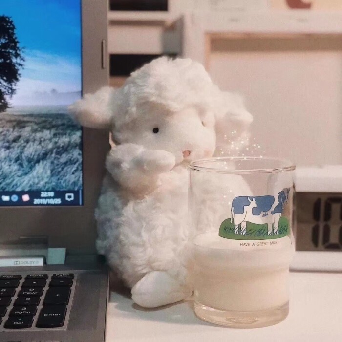 WLOHAT.的世界🦄