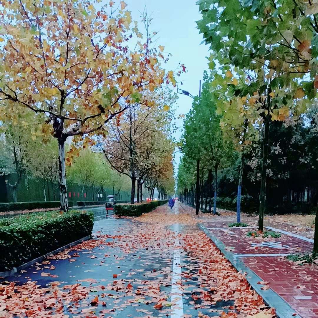 要相信天道酬勤呀！