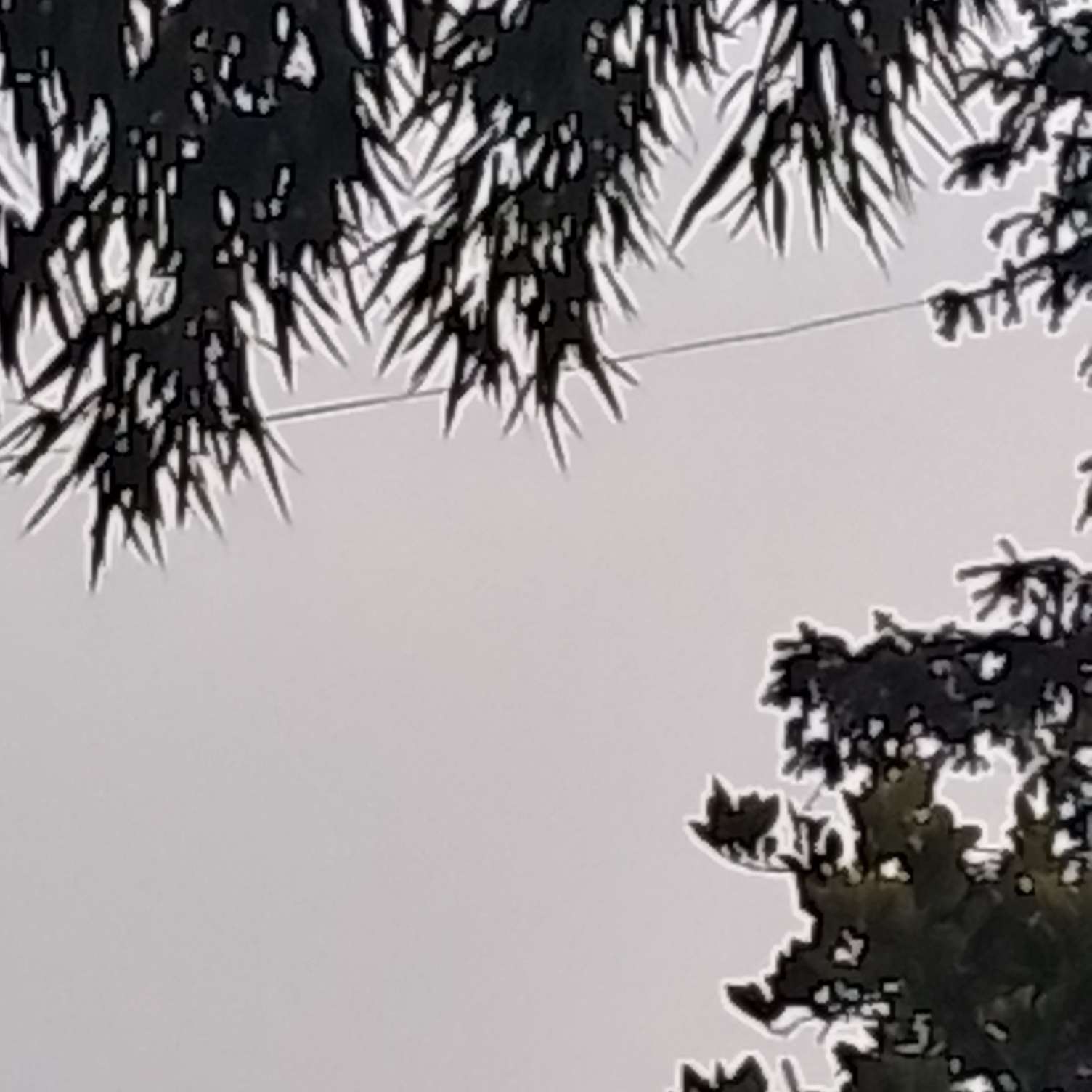 那怎么办啊…的专辑