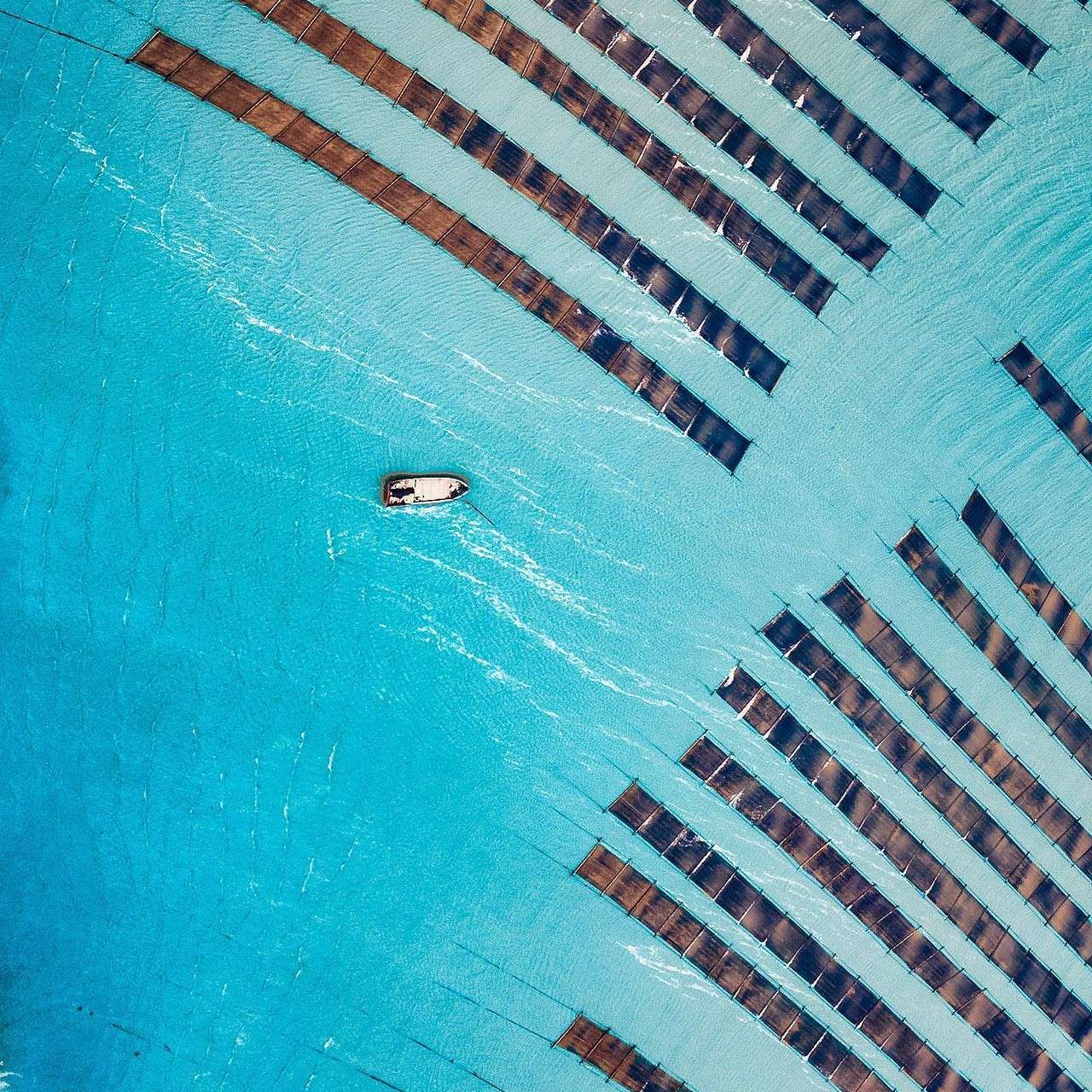 搞笑专辑，千万别进来不然恐怕会被笑死