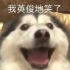 8v5的专辑