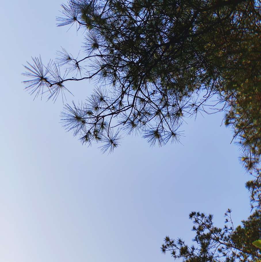 欧克欧克的专辑