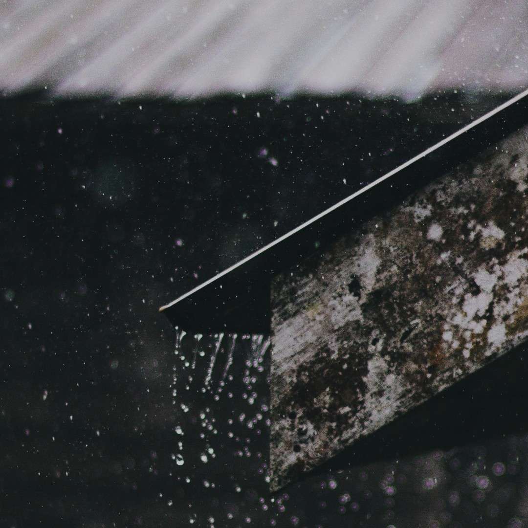 你说的话 我爱的诗