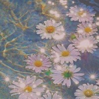 最近很火的一段话