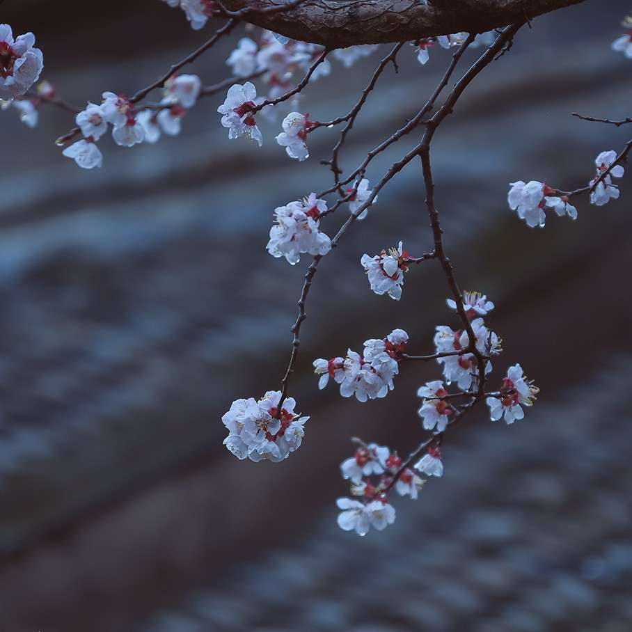 浮生往事的专辑