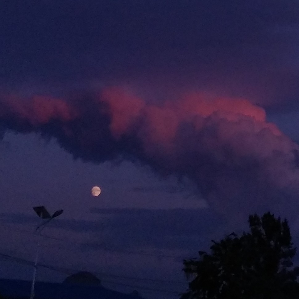 小明同学的专辑