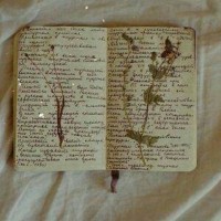 有什么句子你认为是人间绝句🎐