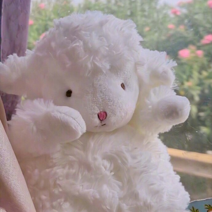 JNF（神永不言败）