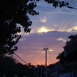 墨香铜臭专场