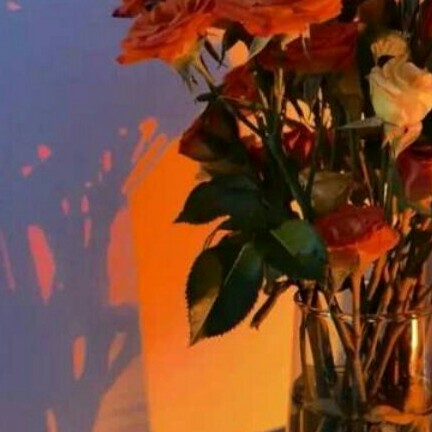 ❤《未来的定格》❤