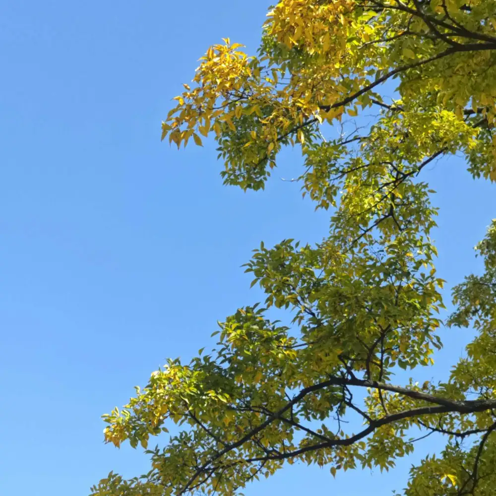 疾风带去遐想也让旗手端来热枪