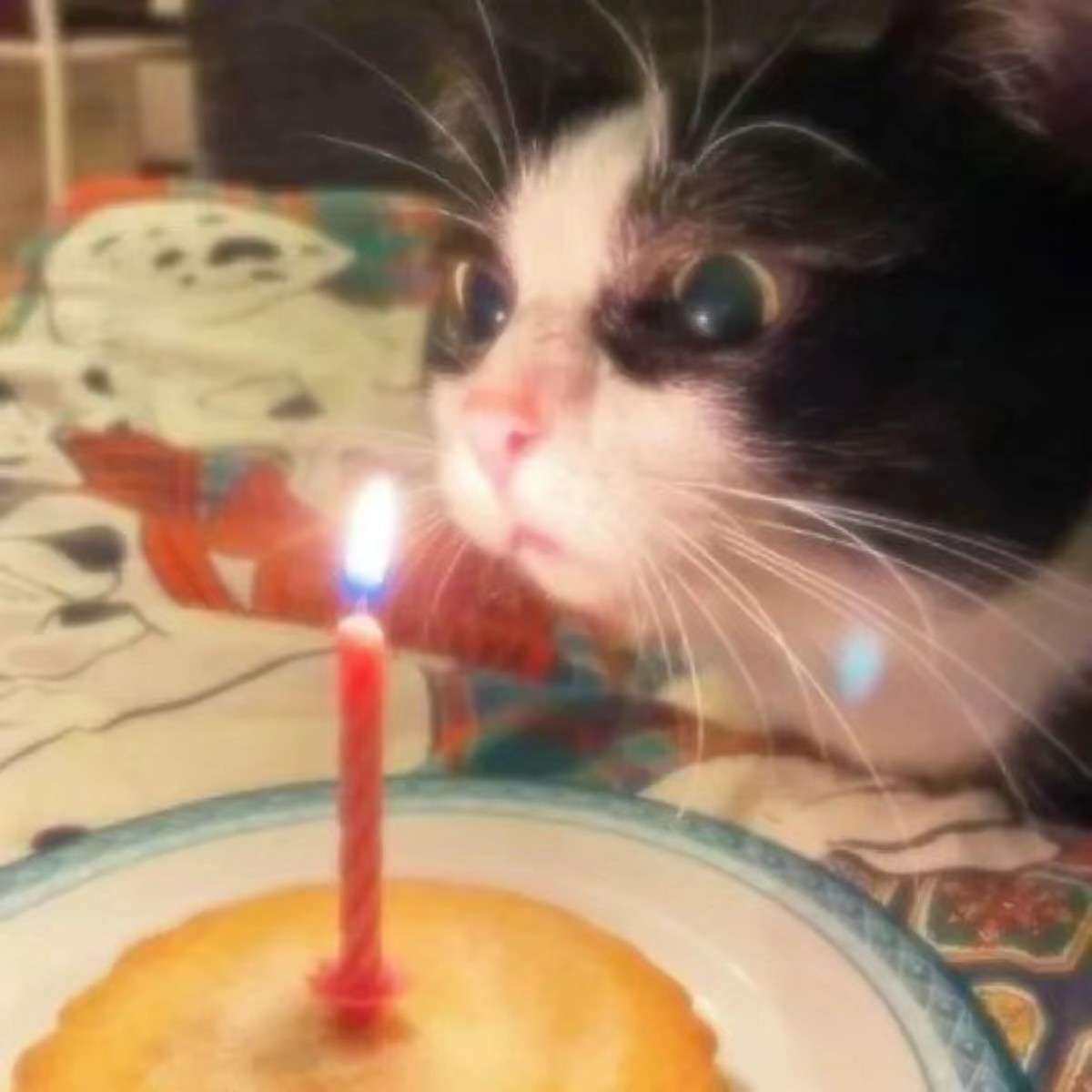 照亮我们黑暗的心究竟是什么