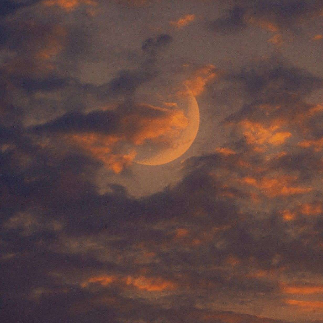 情感感悟(原创)