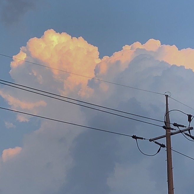 谋杀一个阿拉斯加的傍晚