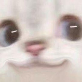 德智体美劳全面发展