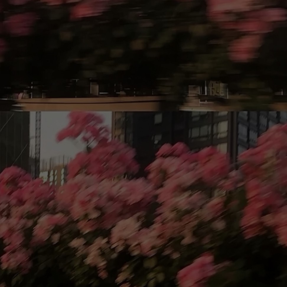 甜到牙疼的浪漫专辑