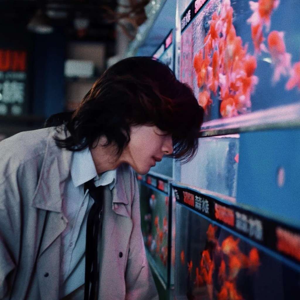 吉仓西糖的专辑