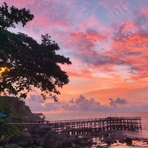 《网易云热评》