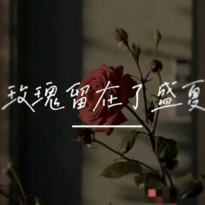 玫瑰留在了盛夏，______________。