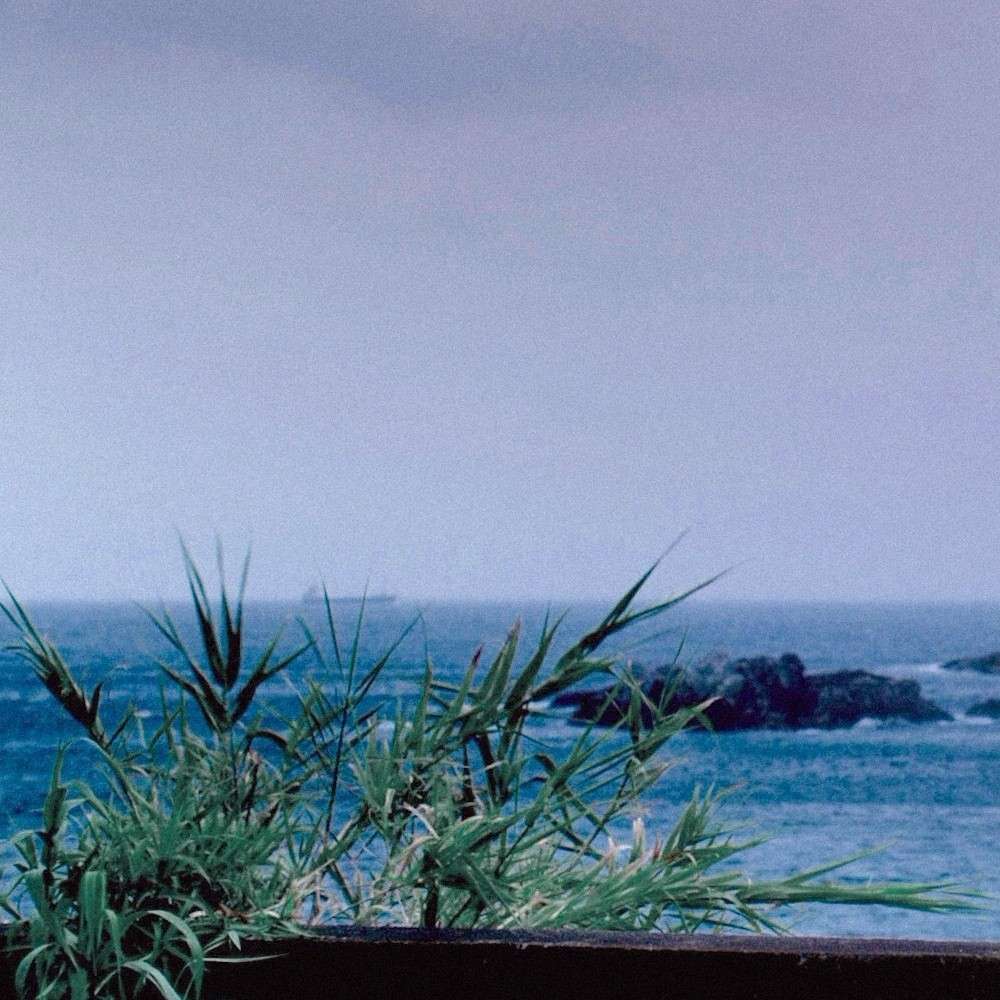 ˢᵗᵃʸ ʷⁱᵗʰ ᵐᵉ