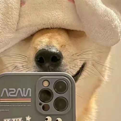 自创