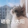 小何禅言