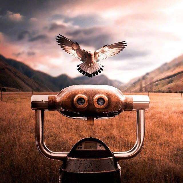 Destiny｀倔的专辑