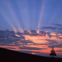 那些惊艳到你的小说句子