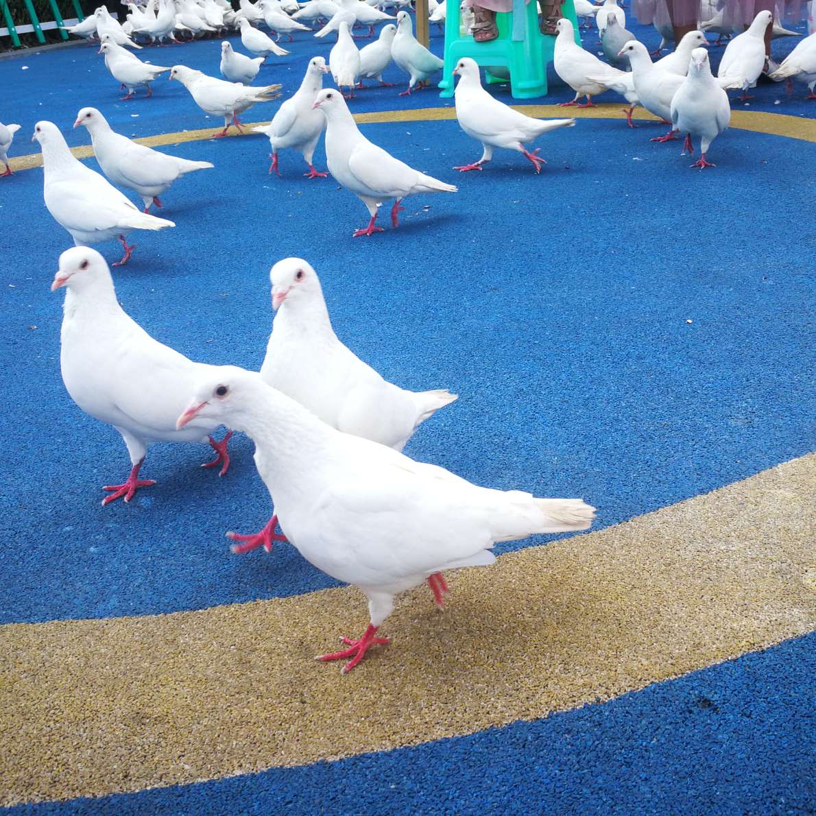 为什么不开心呢