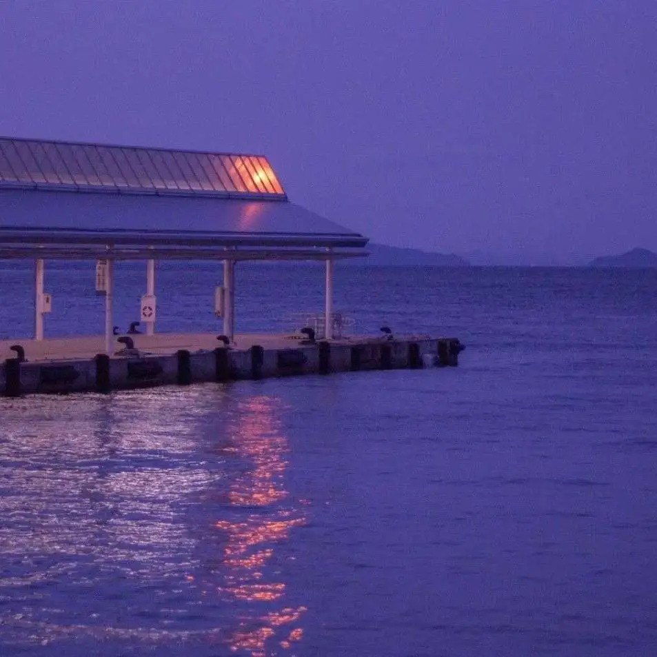 凛冬散尽，星河长明