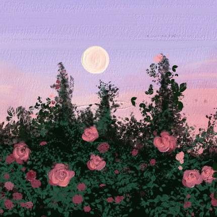 等风起，等花落