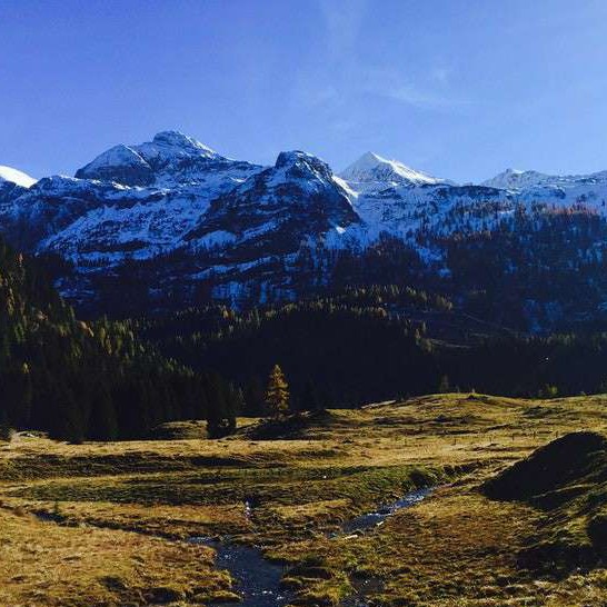 蜡笔小新的专辑