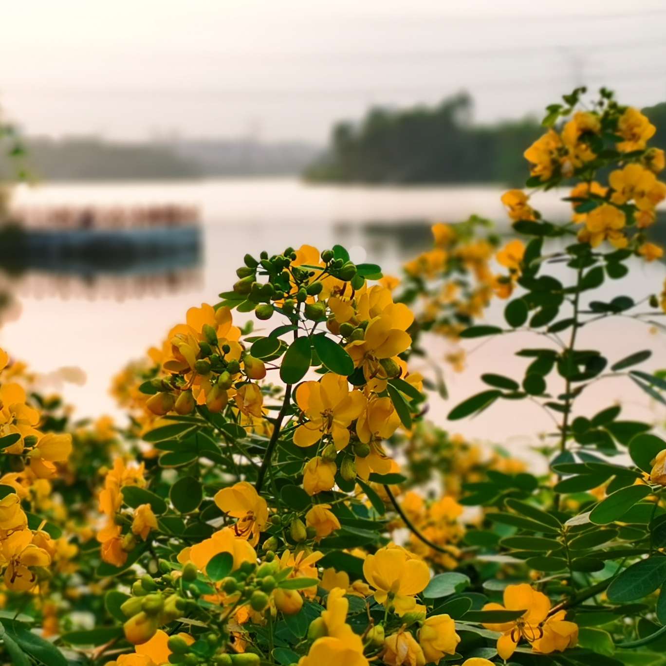 山的那边，是海的专辑