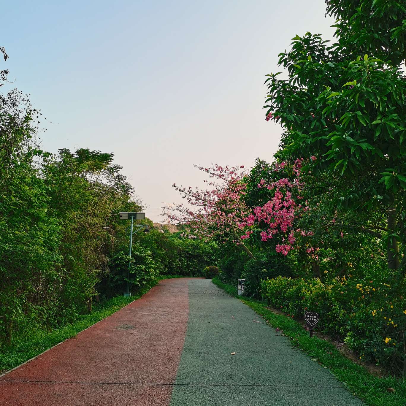 ちょっとした悟り（小感悟）