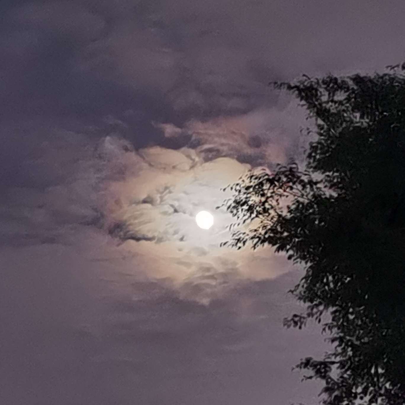 奮闘せよ少年！（奋斗吧少年！）