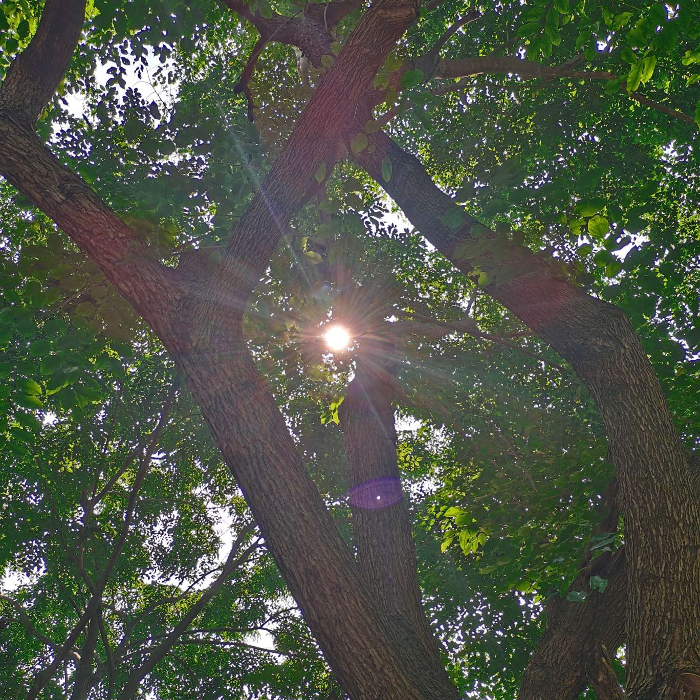 愛とは何か（何为爱）