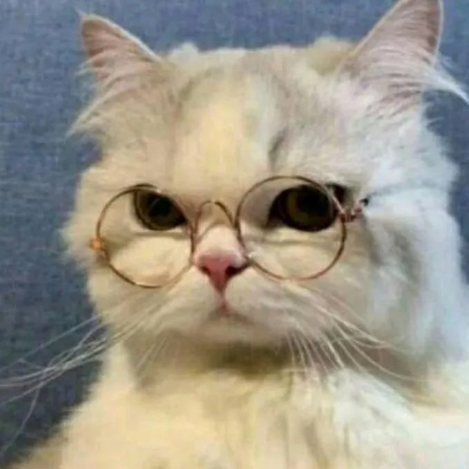 (╭☞•́⍛•̀)╭☞