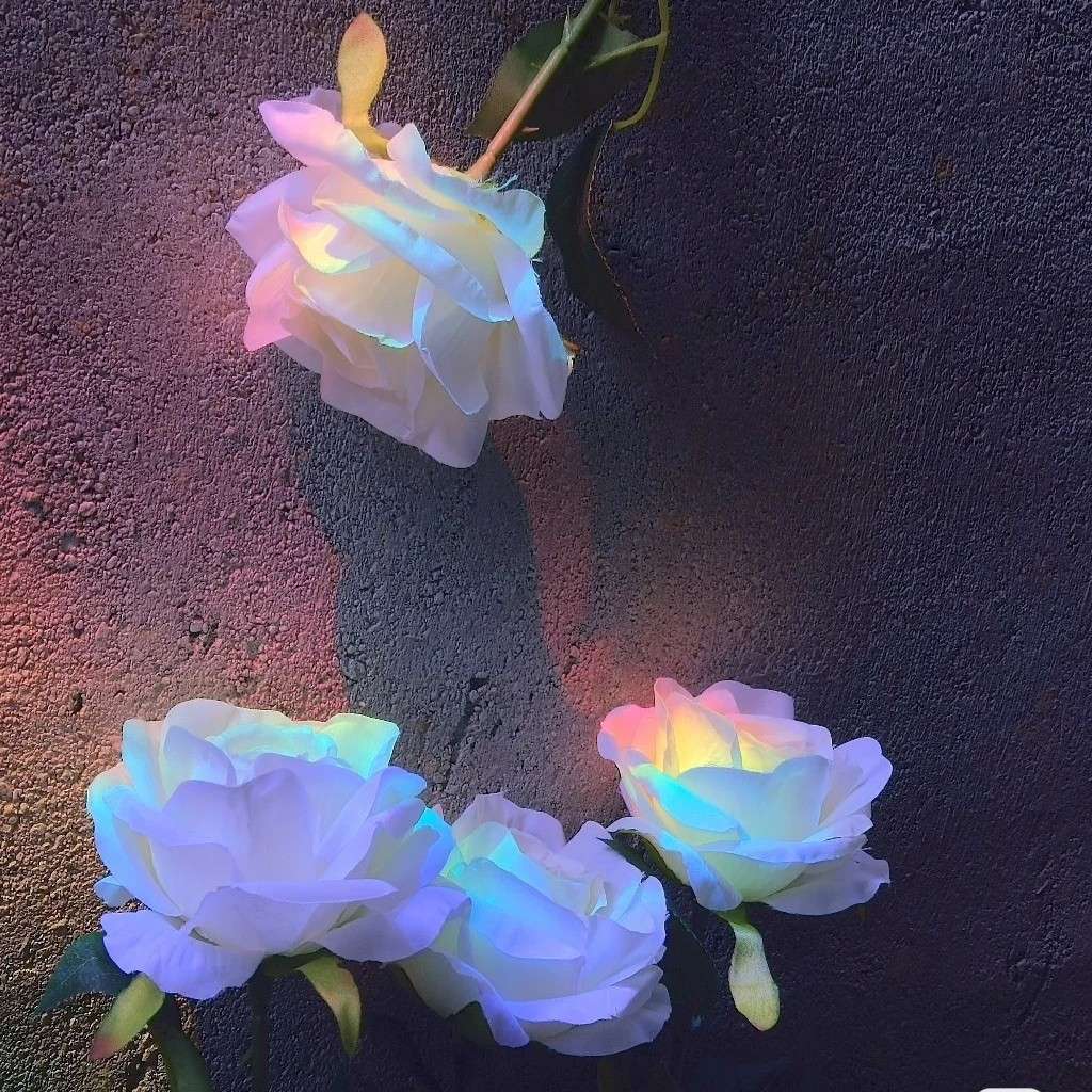 琦琳子的非原创系列