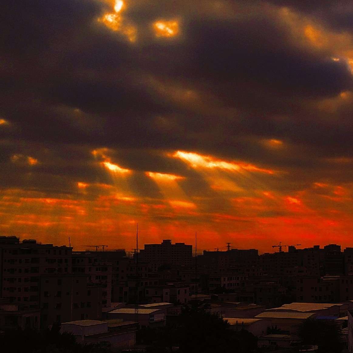 所收集的甫子寸的诗