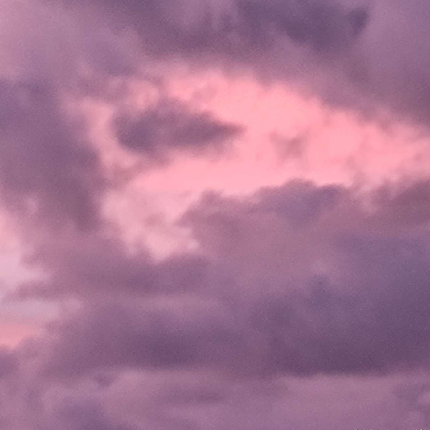 ‘鲸落南山’的专辑